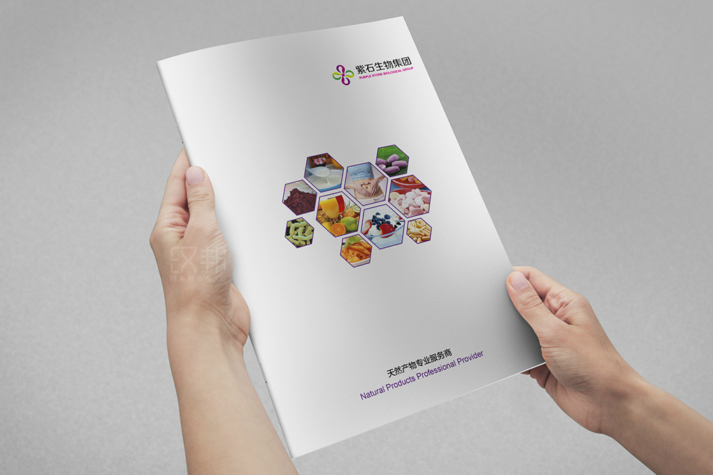 紫石微康生物集团宣传册设计A